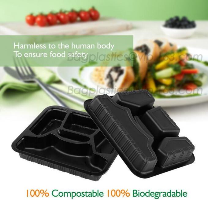 microwave safe cute lunch box plastic food cantainers, 100