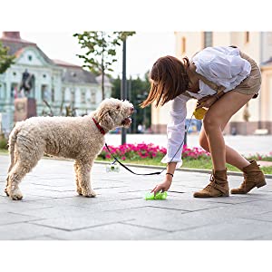 pogi's compostable poop bags