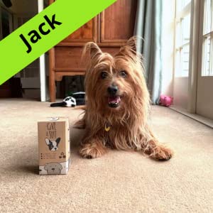 eco friendly biodegradable plastic compostable garbage bags, cornstarch made 100% biodegradable 1