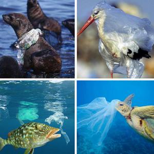 custom made biodegradable and compostable plastic garbage rolls bags, Compostable hospital resealable bag 0