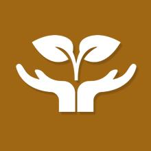 Compostable Disposable Biodegradable Bag, Environment Friendly Compostable Cornstarch Garbage Bags 1