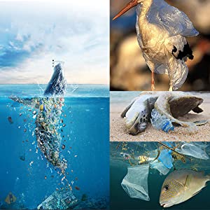 Unscented Wastebasket Liners Eco-friendly Pet clean bone shape dog poop bag pet waste bag dispenser dog waste bag 1