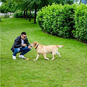 PLA+PBAT Customized Compostable Biodegradable Plastic T-Shirt Bags, Biodegradable Compostable Vest Bags For Shopping 2