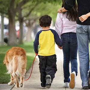 Biodegradable Plastic Dog Pet Waste Poop Bags, Unscented Dog Poop Waste Bags With Tie Handles, Custom Printed Pet Clean 0