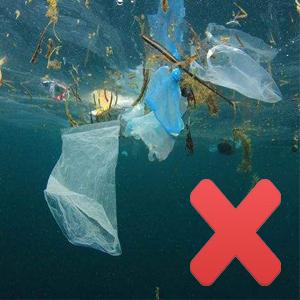 Promotional Cheap Custom Eco-Friendly Compostable Food Waste Bags, Eco Friendly Compostable Biodegradable Food Bags With 2