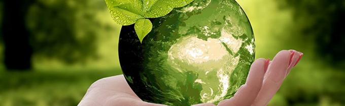 Cornstarch Compostable Shopping Plastic Food Handle T-Shirt Bag, Customized Degradable And Compostable Plastic Food Pack 10