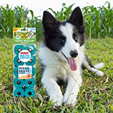 Pet Garbage Bags/Pet Waster Bags/High Quality Compostable Dog Poop Bags, Cornstarch 100% Compostable Biodegradable Dog P 7