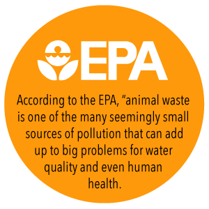 100% Biodegradable Compostable Drawstring Non Plastic Trash Bag Customized, Eco Biodegradable Compost Plastic Drawstring 1