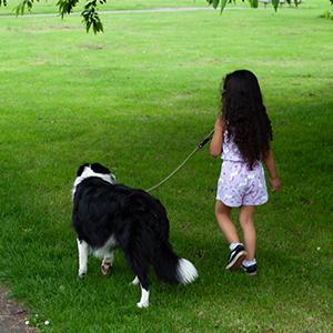 Biodegradable Dog Poop Bags | Pet Waste Bags with Dispenser and Leash Clip for Doggy, Eco-Friendly Leak Proof Disposal R 1