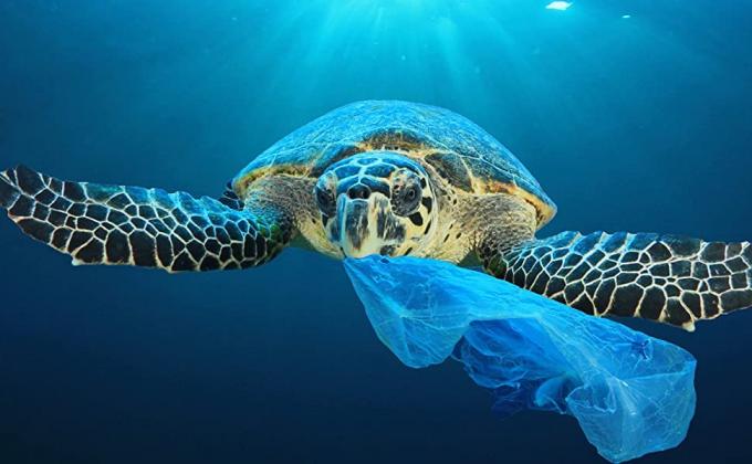 Compost Cornstarch 100% Compostable Bio Degradable Vest Shopping Plastic Bags, Compostable Vietnam Shopping Packed Bags 3