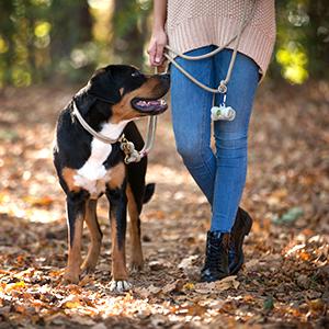 Unscented, Leak-Proof, Earth-Friendly Dog Waste Bag Poop Bags Custom Printed Wholesale Biodegradable Pet Dog Poop Bag 4