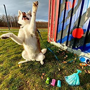 Plant-Based Dog Waste Bag | Home Compostable | Dispenser Refill Rolls | Unscented Leak Proof Poo Bags Eco Friendly bio 0