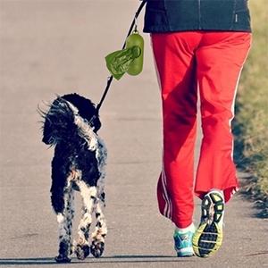 64 Gallon Compostable Trash Bag Biodegradable Garbage Bag, 0.9 Mil, 47"W X 60"H,Cornstarch Made 100% Eco Friendly Direct 1