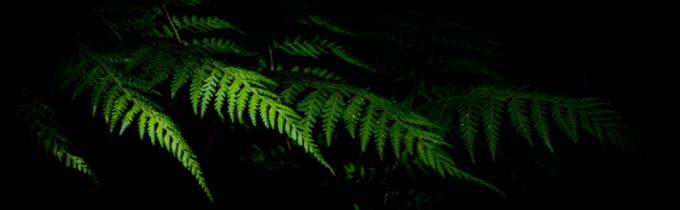 Reinforced Food Delivery Insulated Cooler Bag, Promotional Custom Recyclable Aluminum Foil Picnic Insulated Lunch 0