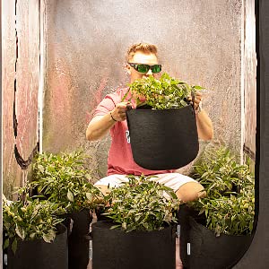 Heavy Duty 300G Thickened Nonwoven Plant Fabric Pots Strap Handles Garden Plant Bags / 6-Packs 5 Gallon Grow Bags/Aerati 4