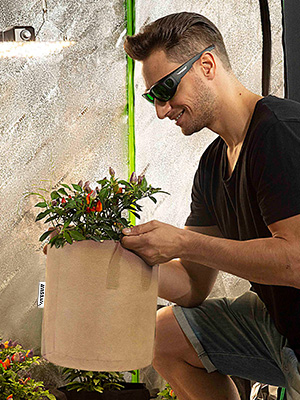 Heavy Duty 300G Thickened Nonwoven Plant Fabric Pots Strap Handles Garden Plant Bags / 6-Packs 5 Gallon Grow Bags/Aerati 5