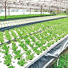 Plastic Tarp, Plastic Mulch, Weed Barrier, Concrete Moisture, Vapor Barrier, Construction Film, Lumber Tarp, Ground Cove 12