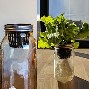 Commercial Aquaponics Growing Systems Agricultural Greenhouse Indoor Hydroponics Plant Net Basket Hydroponic Vegetable 2