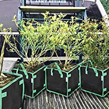 Gallon Square Grow Bags, Thick Fabric Bags With Handles For Indoor And Outdoor Garden Veggies Flower Planter 10