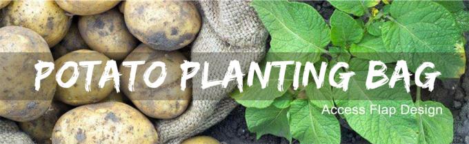 Eco-Friendly PE Potato Growing Bag Garden Planter Bags Reusable Washable Grow Pots Waterproof, Smart Pots for Vegetable 13