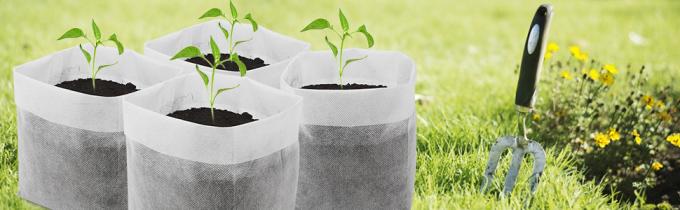 Non-Woven Bags Plant Grow Bags Fabric Seedling Pots Plants Pouch for High Seedling Survival Planting Growing Tree Plants 11