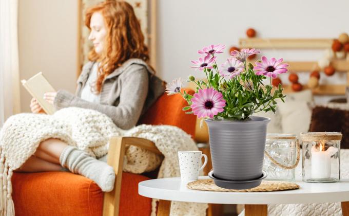 Plants With Drainage Hydroponic Growing Pot Bucket For Greenhouse, Dutch Bucket, Flower Nursery Pots, Balcony Garden 6