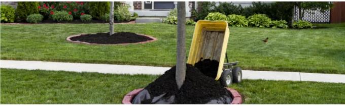 Garden Weed Barrier Landscape Fabric Durable & Heavy-Duty Weed Block Gardening Mat, Easy Setup & Superior Weed Control 0