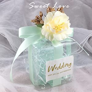 Mobile Phone Case Plastic Packaging Box, Custom Foldable Waterproof Small Rectangular Plastic Transparent Box/Clear Plas 1