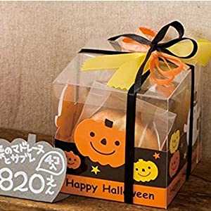 Mobile Phone Case Plastic Packaging Box, Custom Foldable Waterproof Small Rectangular Plastic Transparent Box/Clear Plas 3