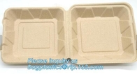 corn starch biodegradable meat tray corn starch dinnerware sets  biodegradable cake tray Rectangular Tray Paper Food Tra