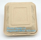 Dishes &amp; Plates Dinnerware Blister packaging Resturant Disposable Food Serving Tray food disposable container