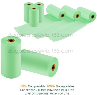 Medical Biodegradable Gloves, Corn Starch Gloves, Compostable Gloves, Disposable Gloves, Bags