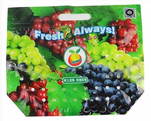 vegetable and fruit packing zipper zip lock slider bag, Green grapes packaging bag with slider/Grapes packing bag/Plasti