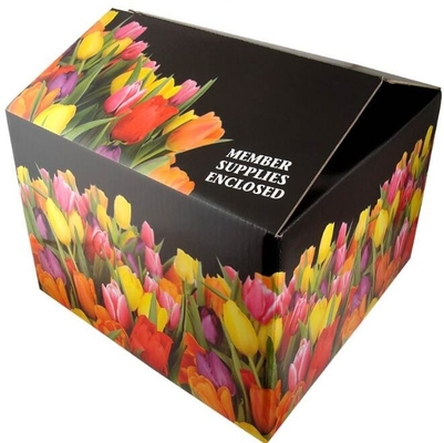 fruit carton, fruit case, fruit tray, New Custom Made Luxurious mobile phone Storage Packaging printed paper Box wholesa