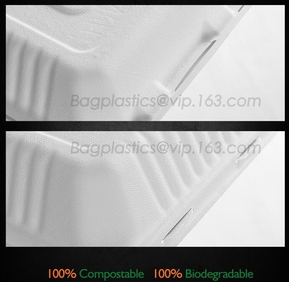 lunch boxes for kids, Disposable clear pack lunch box with freezable for restaurant, PLA biodegradable tote lunch box