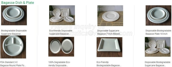 Eco Biodegradable Disposable Sugarcane Bagasse Food Container,Customize biodegradable corn starch plastic food storage c