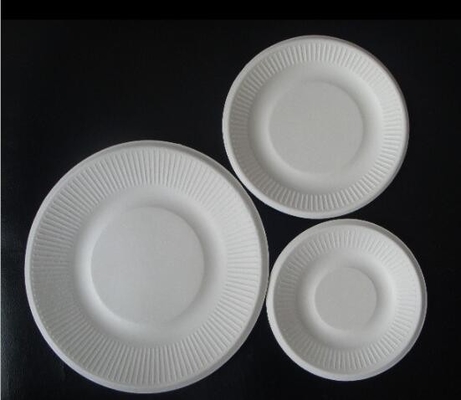 Full Biodegradable Oval Compostable plastic Corn Starch plates,Eco- Friendly Biodegradable Corn Starch Disposable Tablew