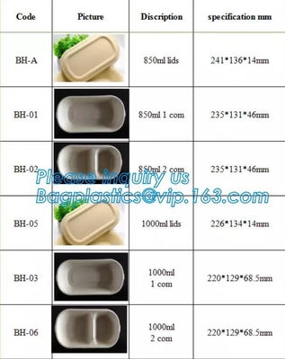 disposable takeaway bento to go box compostable food packaging sugarcane bagasse tableware biodegradable food container