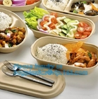 disposable takeaway bento to go box compostable food packaging sugarcane bagasse tableware biodegradable food container