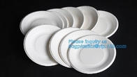 Compostable biodegradable dinner plate corn starch plate,Elegant Disposable Corn Starch Bio Plastic Dinner Plates bagpla