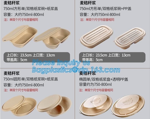 Biodegradable Microwave Bamboo Sugarcane Bagasse Food Container,Eco friendly disposable sugarcane food container with li