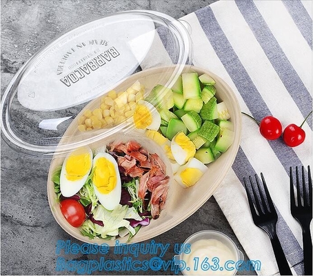 Biodegradable Microwave Bamboo Sugarcane Bagasse Food Container,Eco friendly disposable sugarcane food container with li