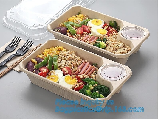 Pulp bowl, sugarcane take away fast food container with Lid,Compostable sugarcane bagasse clamshell food containers pac