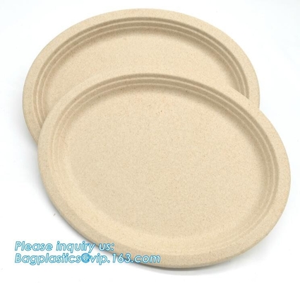 biodegradable tableware 5 compartment sugarcane tray,100% Biodegradable Disposable Sugarcane Paper Raw Material Composta