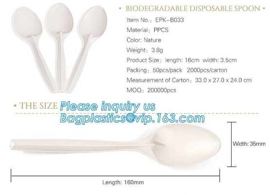 6 inches plastic biodegradable corn starch material spoon PLA dessert spoon,OEM Eco-friendly corn starch Disposable plas