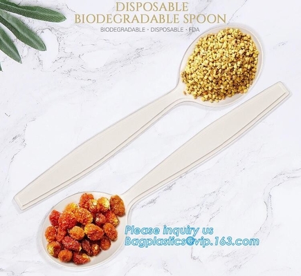 factory direct biodegradable corn starch 5 inch dessert spoon,food grade disposable biodegradable corn starch spoon pac