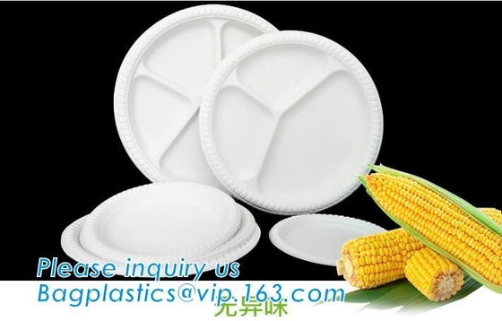 Biodegradable Disposable Sugarcane Bagasse Party Plate,Eco-friendly sugarcane bagasse paper plate/disposable compostable