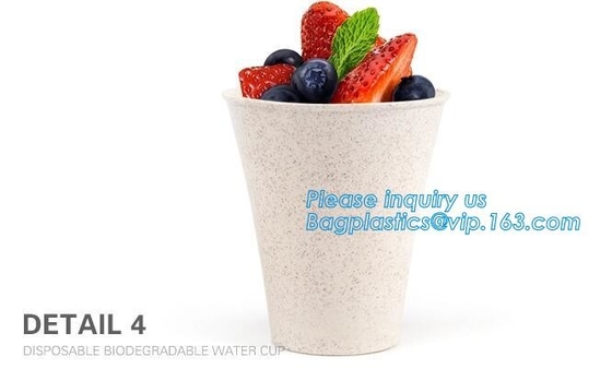 Custom Disposable Clear Cold Drink Juice Cup 100% Ecofriendly Biodegradable Compostable PLA Plastic Coffee Drinking Cup