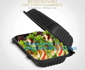 Wholesale 24oz Disposable Bagasse Biodegradable Corn Starch Takeaway Food Container With Lid, bagease, bagplastics pack