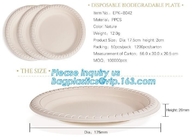 Online Shopping 10 Inch Biodegradable Disposable Sugarcane Bagasse Party Plate,Sugarcane Bagasse Paper Plate/Compostable